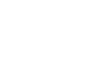 JAPAN ROAD TRIP