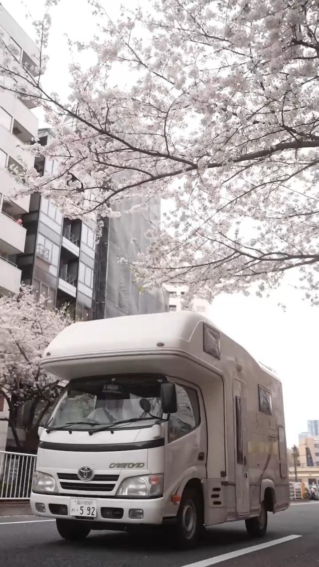 ˗ˏˋ 🌸Spring has come🌸 ˎˊ˗

春の行楽シーズン到来！
キャンピングカーをレンタルして、お花見旅にでかけませんか？

🚙「JAPAN ROAD TRIP」で検索！🏕

#お花見 #キャンプ #キャンピングカー